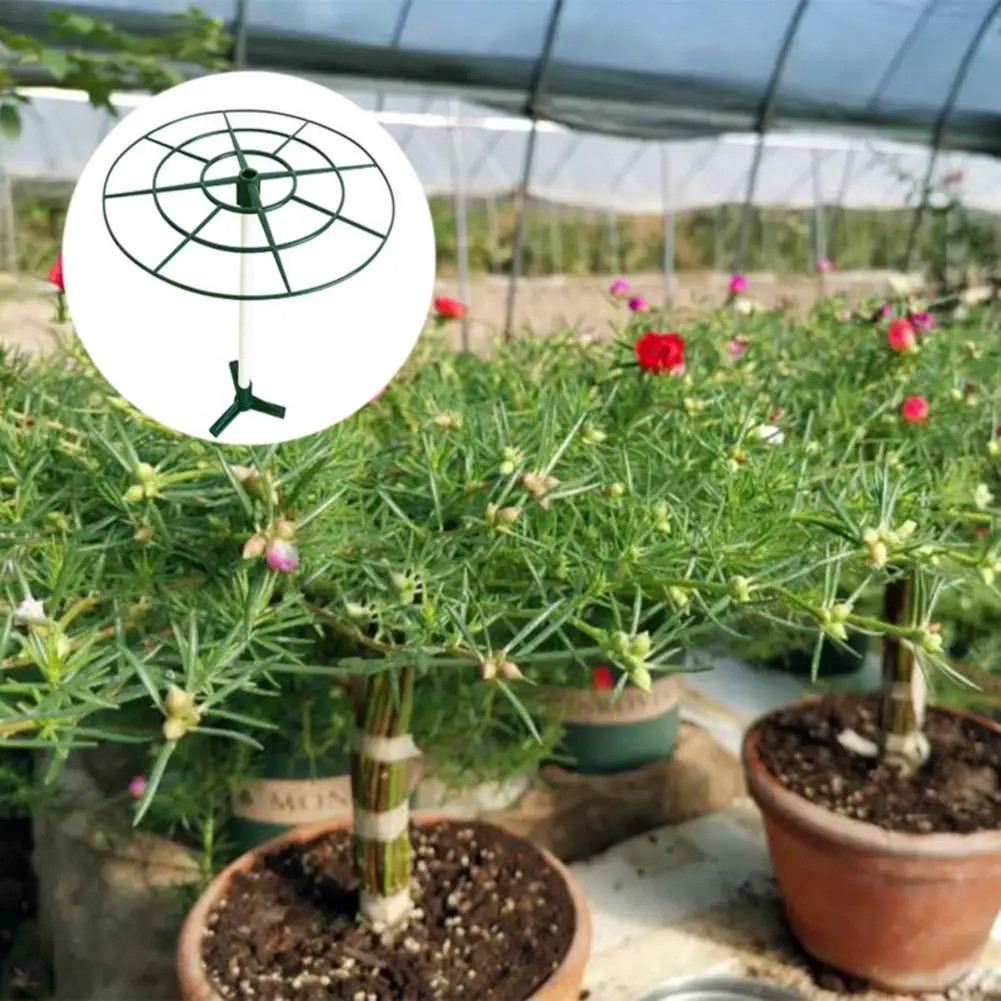 

Plant Support Stakes Flower Cage Support Ring Lollipop Stand Splicable For Supporting Plants And Preventing Vines From Spreading