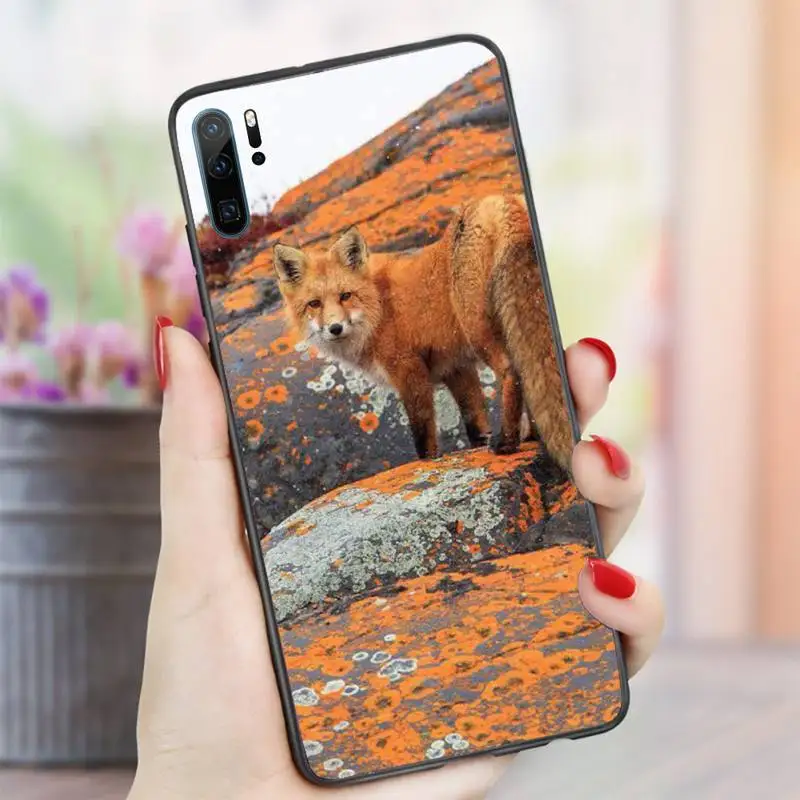 

Fox In Autumn cute animal Phone Case For Huawei honor Mate P 10 20 30 40 i 9 8 pro x Lite smart 2019 nova 5t luxury cover funda