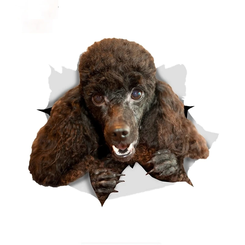 

Happy Black Poodle Dog Sticker Car Sticker Decal for Car Wall Toilet Kid's Room Door Luggage window Good Quality Waterproof