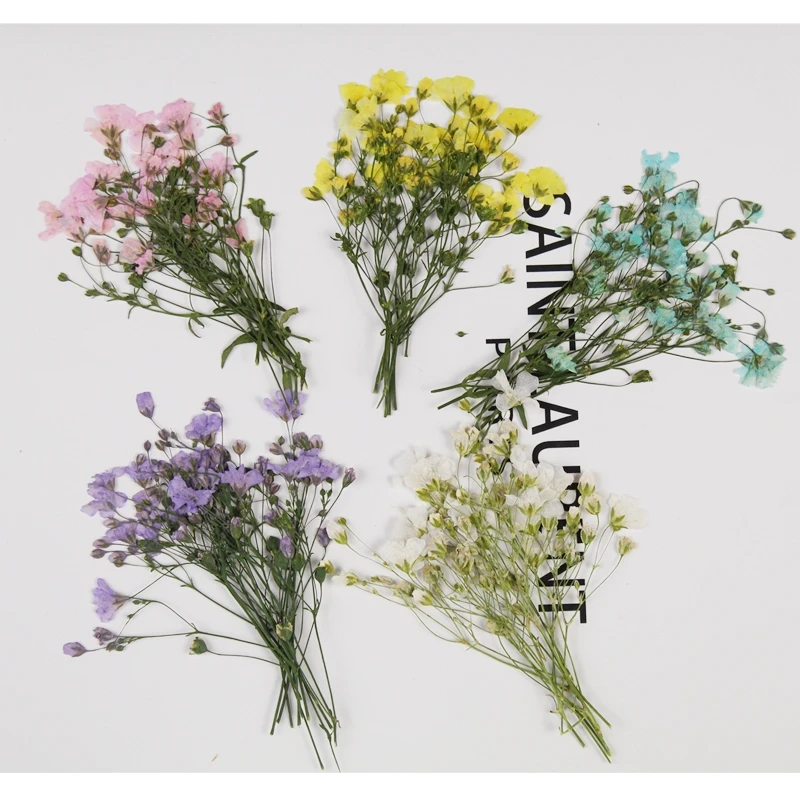 

60pcs Pressed Dried Gypsophila paniculata Flower Herbarium For Epoxy Resin Jewelry Making Bookmark Face Makeup Nail Art Craft