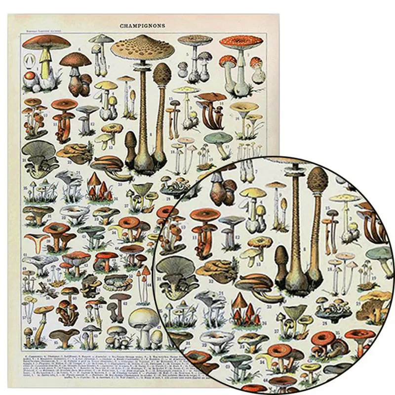 

Vintage Adolphe Millot Encyclopedia Posters Mushrooms Herbs Flowers Classic Canvas Paintings Wall Stickers Nursery Decor