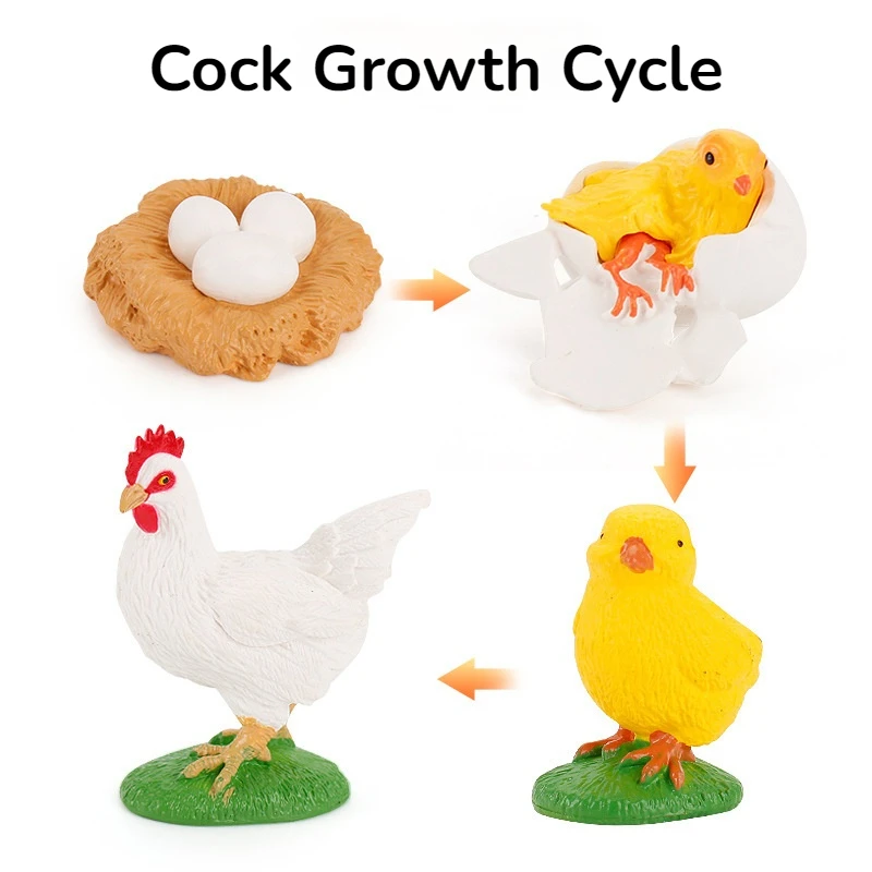 Моделирование растений животных рост модели фасоли насекомых лягушка бабочка