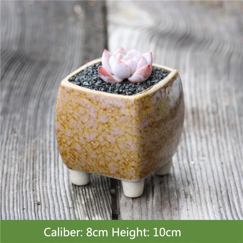 Новый квадратный суккулентный горшок для растений печь становится керамической