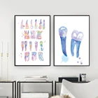 Стоматологическое искусство зубы Холст Картина акварель настенный художественный плакат стоматологический гигиенист холст печать зубы подарки Настенные картины декор для клиники