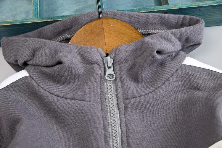 

Clothes Children Sweatshirt Kids Boys Sports Hoodie Boy's Hoody Autumn Girl's Top Autumn Toddler Girl Winter Clothes 1-4Y