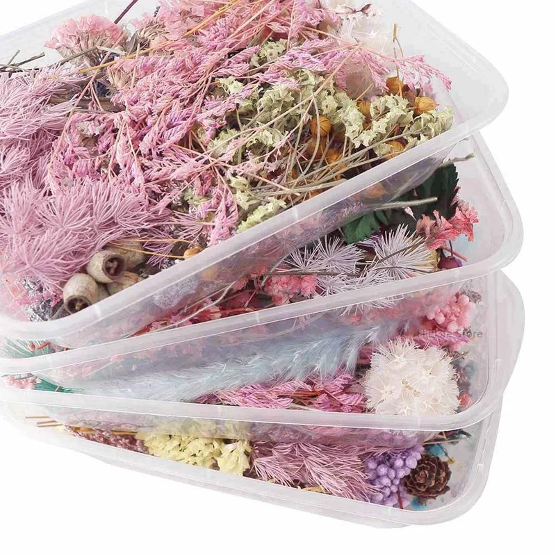 1 Box Real Dried Flower Dry Plants for Aromatherapy Candle Epoxy Resin Jewelry Wax Tools Making Craft Diy Accessories | Дом и сад