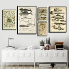 Плакаты и принты на холсте, с изображением морских обитателей, рыб, животных, картина маслом в стиле ретро для гостиной