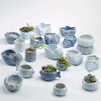 blue ocean series fleshy flowerpot vase european style shell fish shape ceramic bonsai plant pots succulents planter for desktop