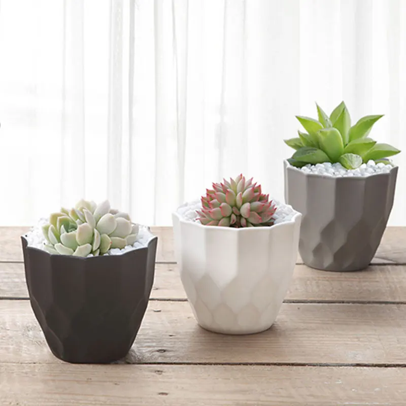 Plastic Succulent Planting Pots Frosted Round Flower Tabletop Simple Gardening Potted Plants High Quality Nursery Flowerpot | Дом и сад