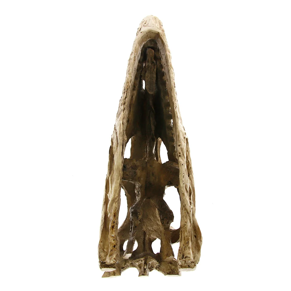 Высокоточная обучающая модель [MGT] Velociraptor Fossil Resin Skull Dinosaur череп динозавра
