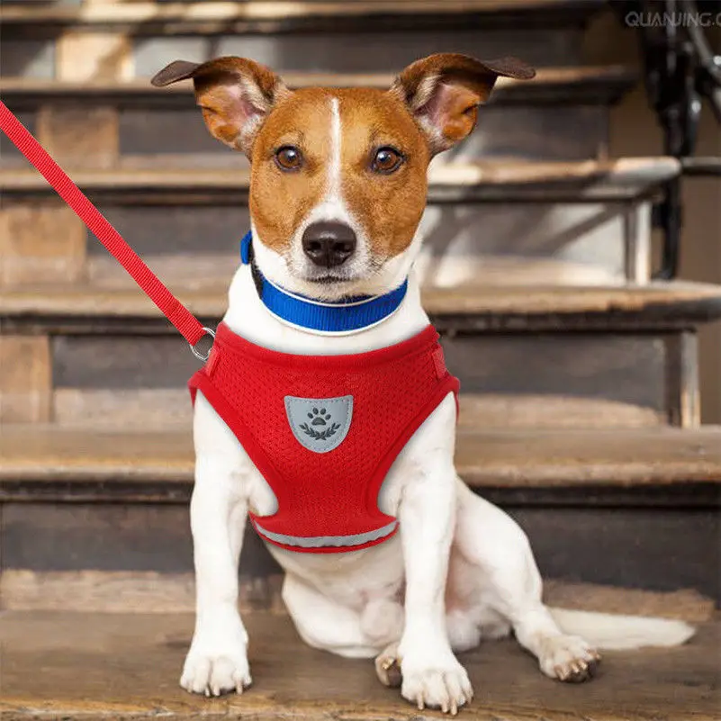 S XL собака Кот Щенок мягкий поводок сетки дышать регулируемый ремень с подтяжками