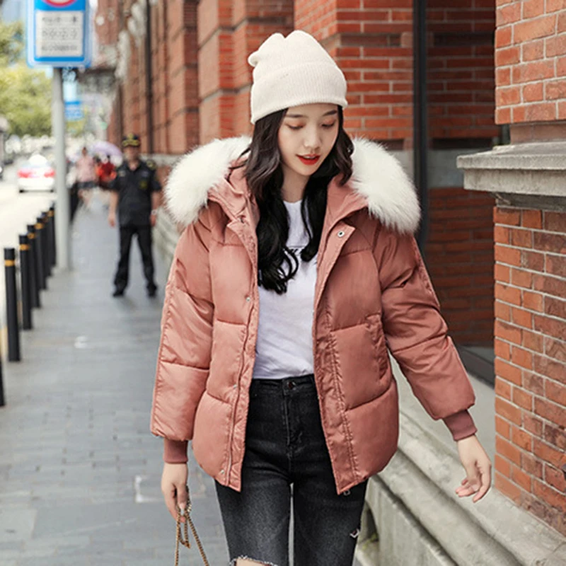 

5 Colors Ladies Faux Fur Hooded Short Puffer Jacket 2019 New Fashion Parka Casual Loose Winter Jacket Women Warm Bubble Coat
