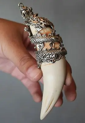 

Китайские антикварные кабаны, зубы, Дикая свинья, серебряный дракон, защитная фотография