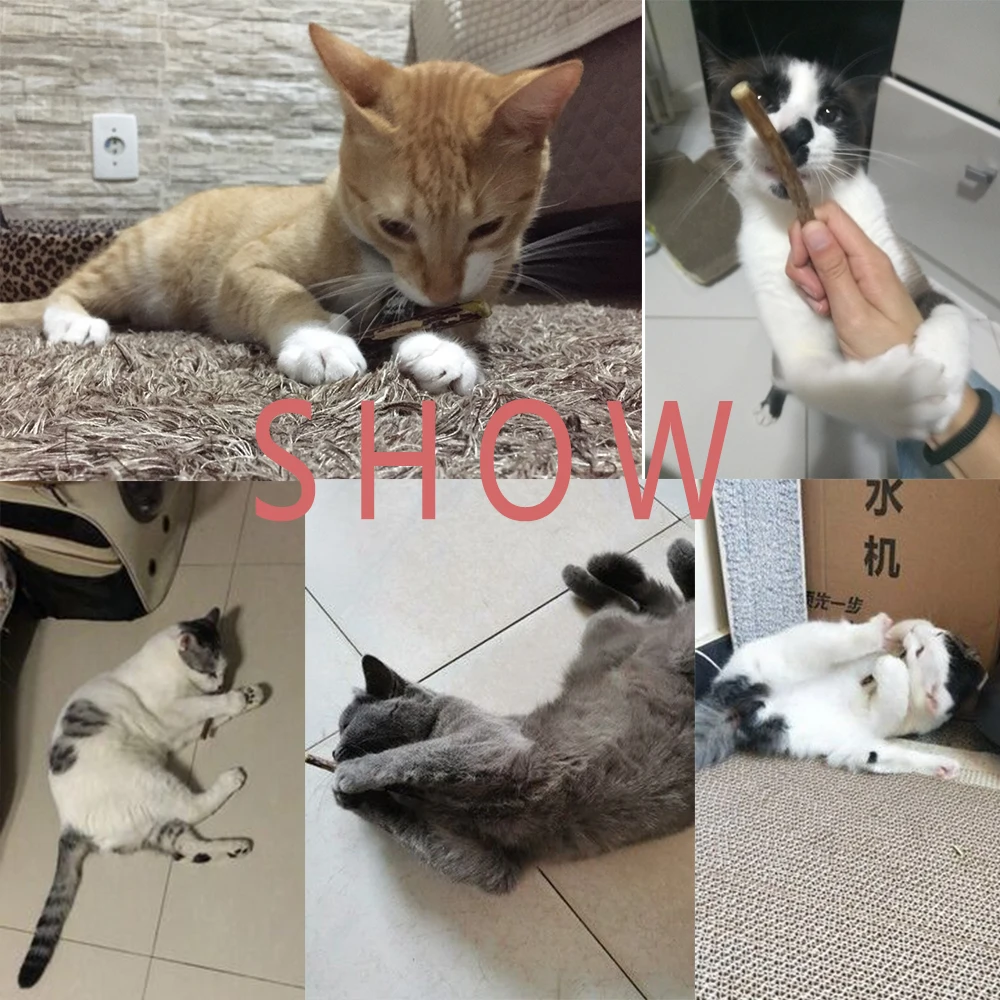 Зубная паста для домашних животных 5 дюймов | Дом и сад