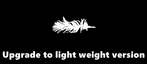 

Extra payment for Upgrade to ultra-light version cost