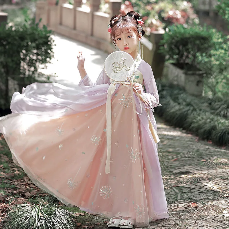 

Chinese Style Girl Pink Floral Embroidery Han Dynasty Princess Dance Clothing Chinese Traditional Hanfu Costume Ancient Outfit