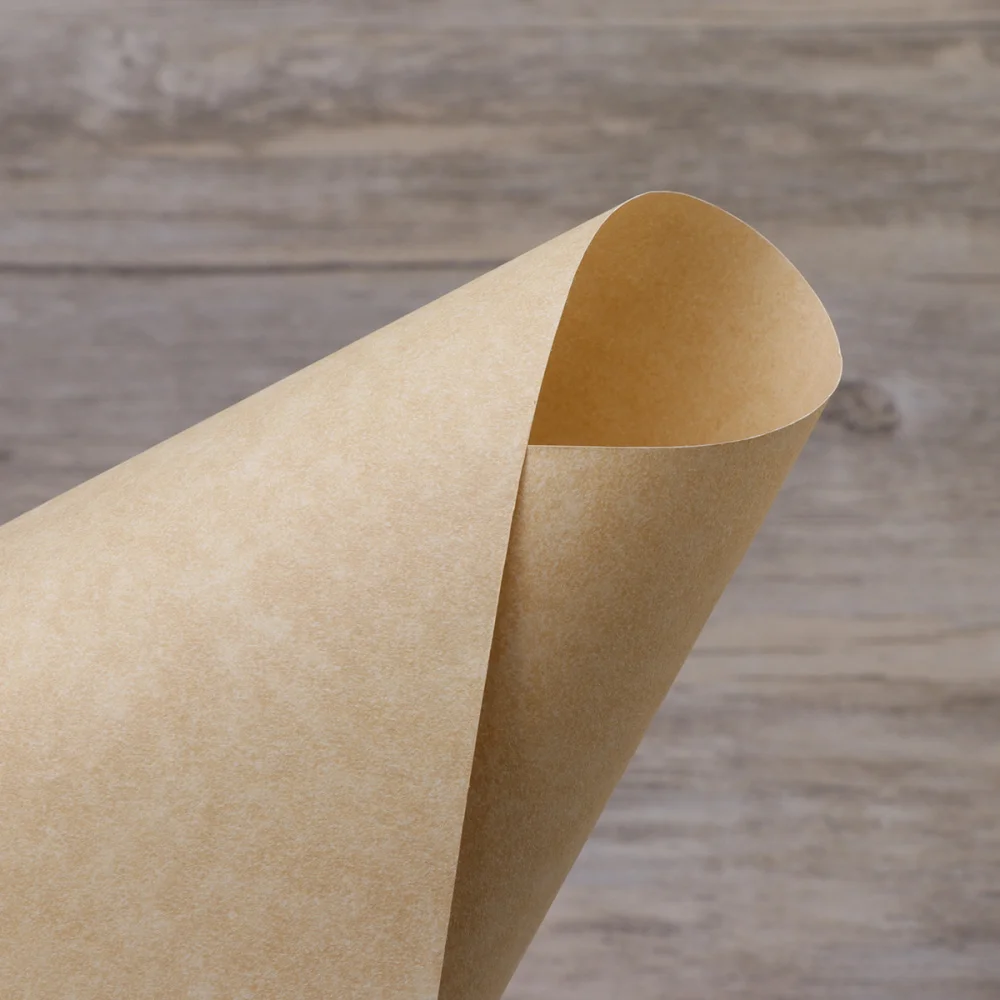 

50Pcs A4 Paper Sheets Parchment Retro Paper for Certificate and Diploma 90g (Light Brown)