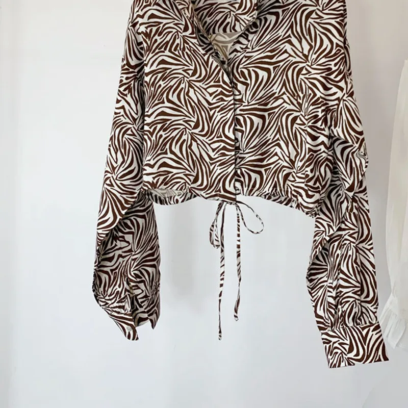 

Early Spring 2021 New Personality Fashionable Zebra Print Long-sleeved Drawstring Top Shirt Women