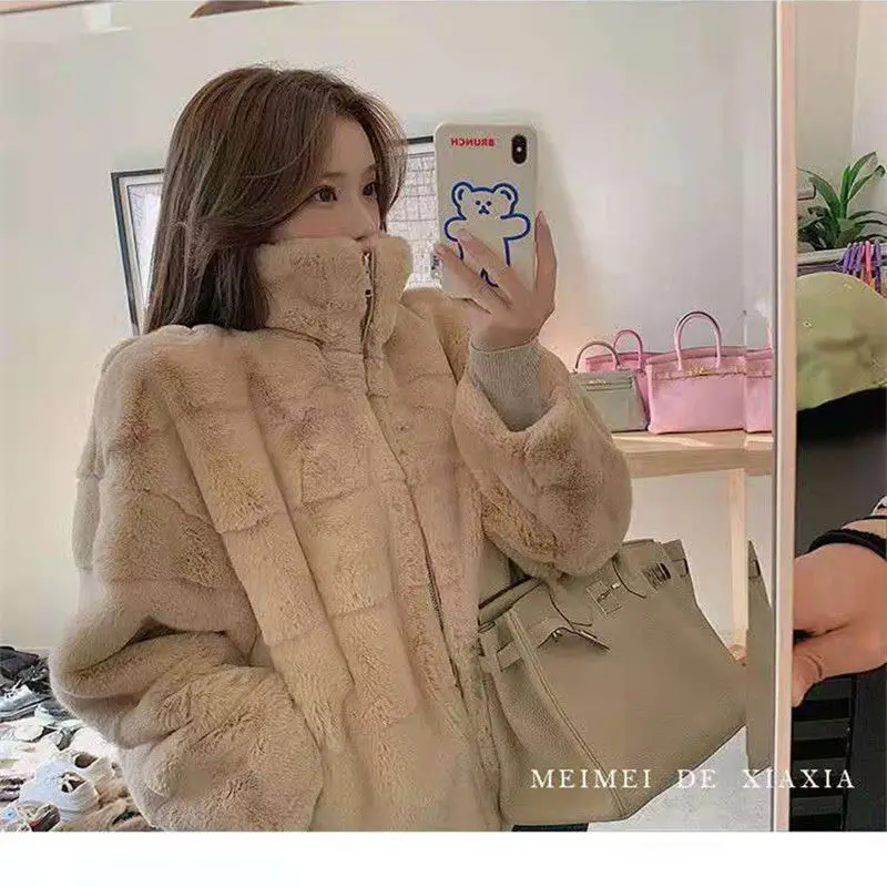 

Women Autumn Winter Faux Fur Coat Women Fashion Warm Soft Zipper Faux Mink Fur Jackets Female Fluffy Cozy Loose Outerwear N197