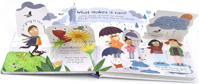 Usborne Lift-the-flap первые вопросы и ответы что делает это дождь английский обучающие
