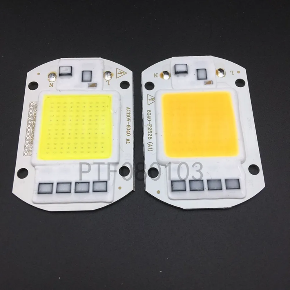 

2PCS LED COB Lamp Chip 50W 220V 110V Input Smart IC Driver Fit For DIY LED Floodlight Spotlight Cold White Warm White