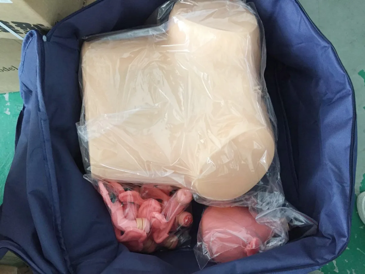 Модель гинекологического осмотра для студентов медицинских работников BIX-FS |