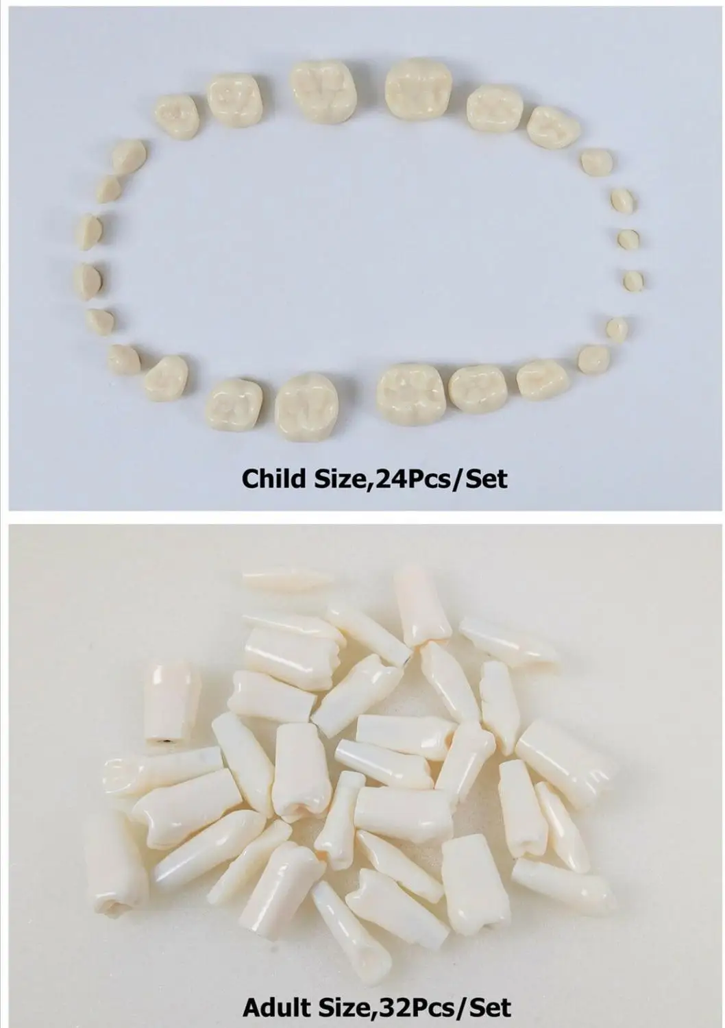 

1Set Dental Resin Practice Replacement Teeth Full Denture False Teeth Study Model Adult/Child