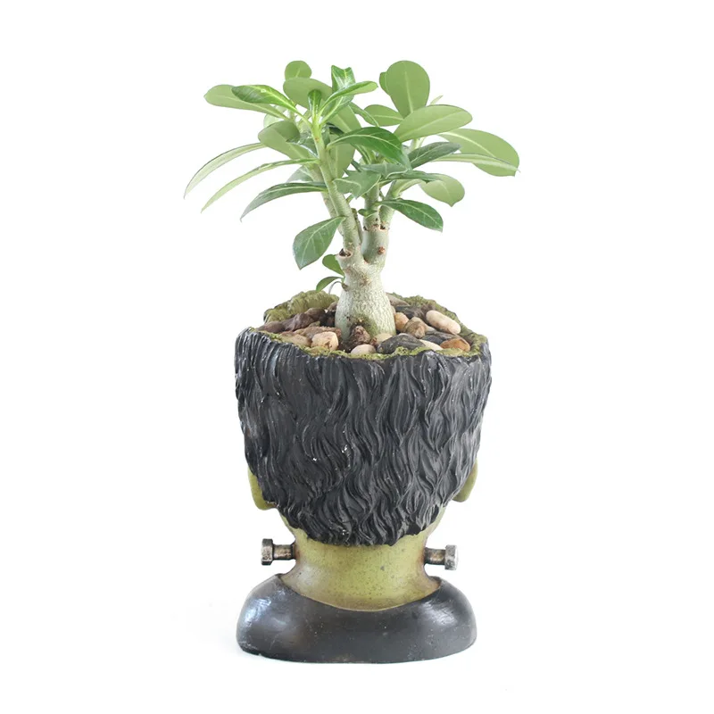 

YeFine Resin Plant Pots Decorative Frankenstein Flowerpot Desktop Planter Pot Garden Indoor Decorative Succulent Bonsai Pots
