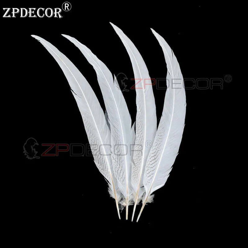 ZPDECOR 60 65 см Серебряная Фотография для украшения поделок|Перо| |