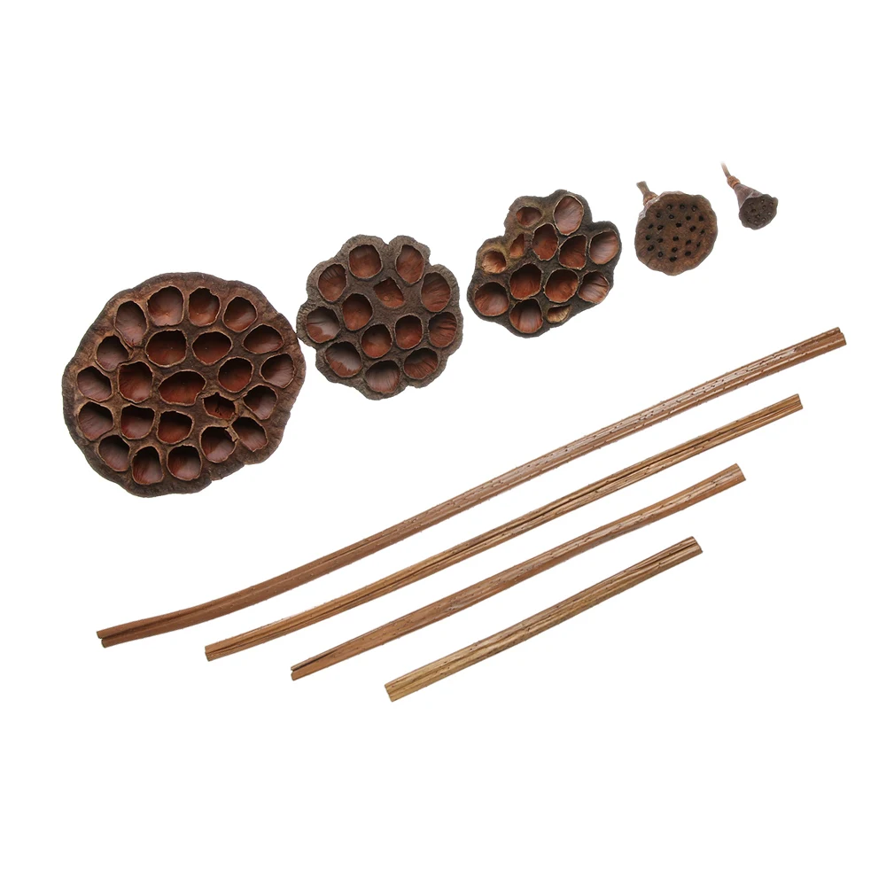 Натуральные сушеные цветы лотоса Цветочная эмуляция офисное украшение Декор для