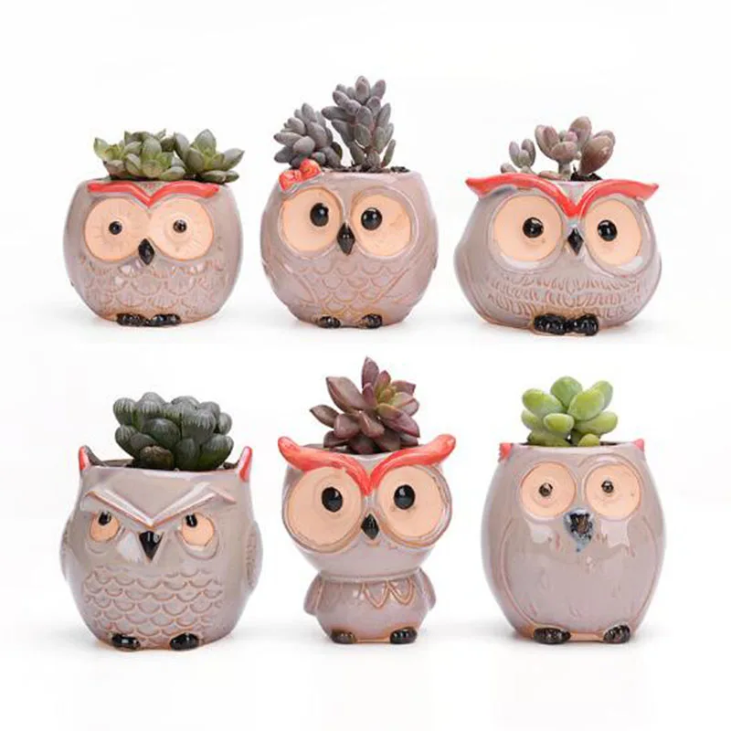 

6 Piece Planter Succulent Cactus Bonsai Plant Holder Garden decoration Mini Owl Flowerpot Plant Flower Pot Home Office Decor