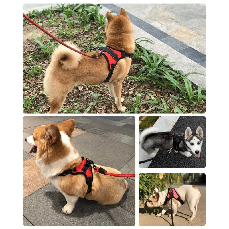 

Pet Dog Reflective Training Leash Dog Running Walking Polyester Leash Rope Pet Night Reflective Walking Collar Pet Supplies