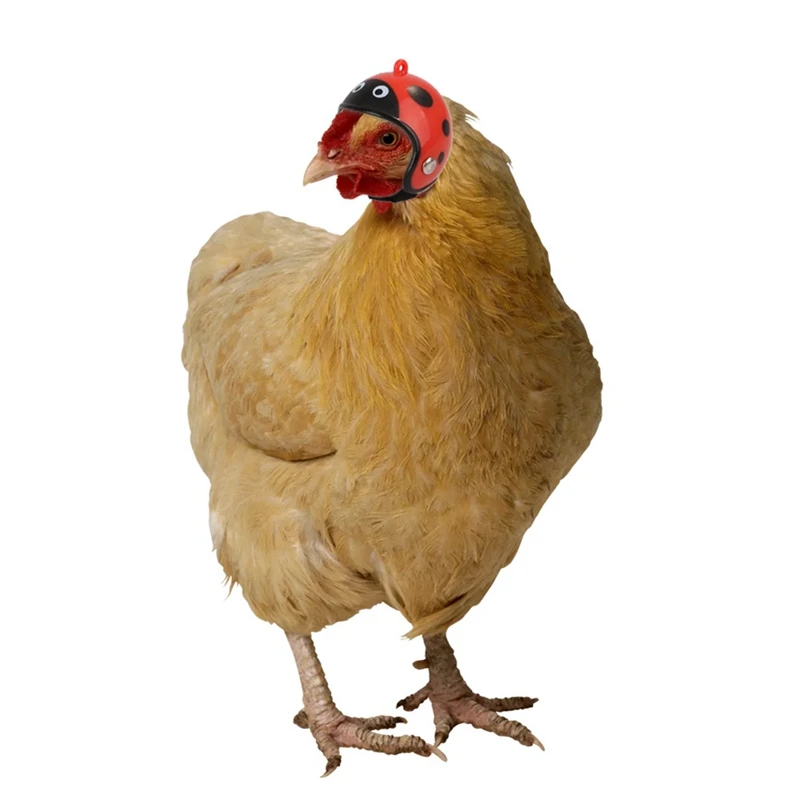 

Creative Cute Chicken Hat Chicken Helmet Protection Head Cover Small Pet Hard Hat Bird Headgear For Chicken Duck Other Poultry