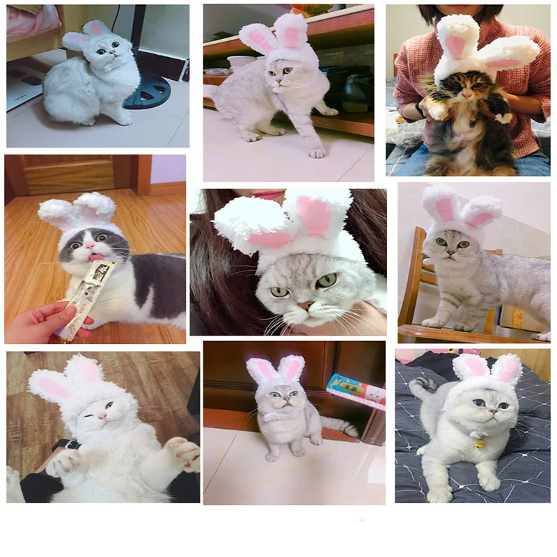 

Cat Clothes Bunny Rabbit Ears Costume Hat Pet Cat Cosplay Clothes For Cat Costumes Small Dogs Kitten Party Costume Pet Products