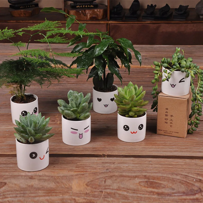 6 стилей креативные керамические s плантатор цветочный горшок милое выражение