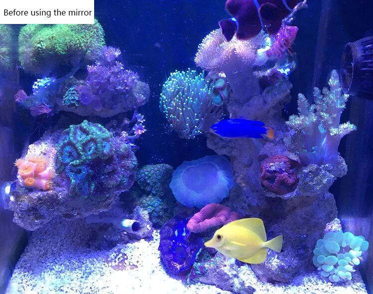 Coral коралловые цилиндрические линзы для фотоаппарата морской цилиндрический фильтр три объектива с макрофильтр аквариум синий свет