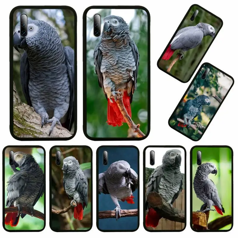 

African Grey Parrot Phone Case For Huawei Honor View V 5 7 8 9 10 20 30 X S Play Lite Pro Cover