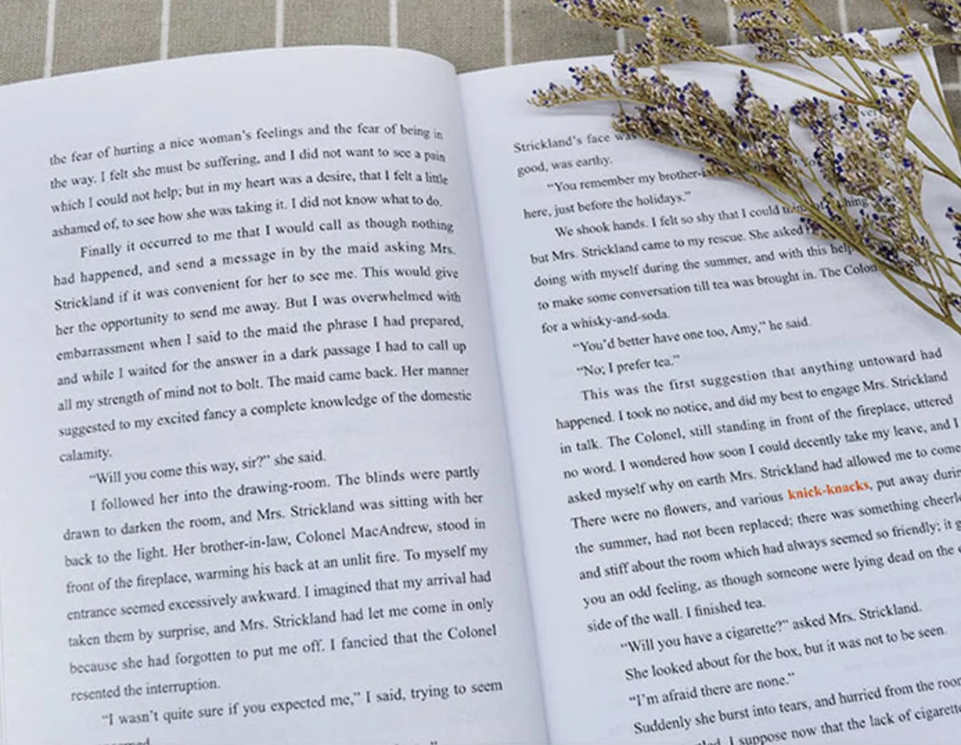 Луна и шестипенс Вильям Сомерсет Моэм полное английское издание новеллы