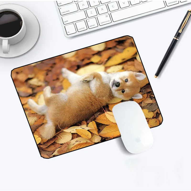 

Yuzuoan small animal mouse pad, notebook non-slip pad, desk pad, office computer mouse pad, S code