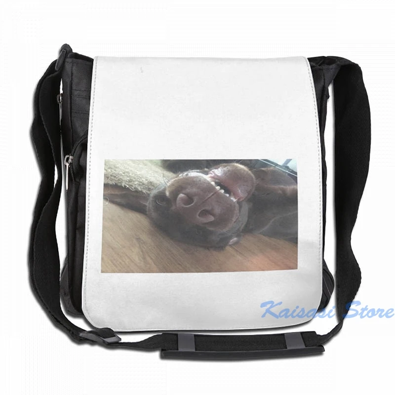 Забавный рюкзак с графическим принтом шоколада Лабрадора щенка USB-зарядка