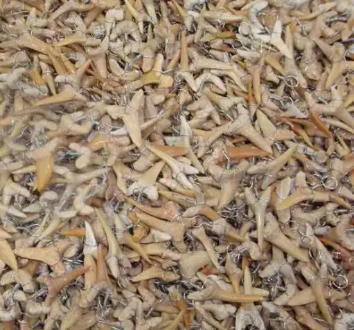 Горячая Распродажа A + кулон с натуральным акульим зубом энергетический apotropaic 1 г-3