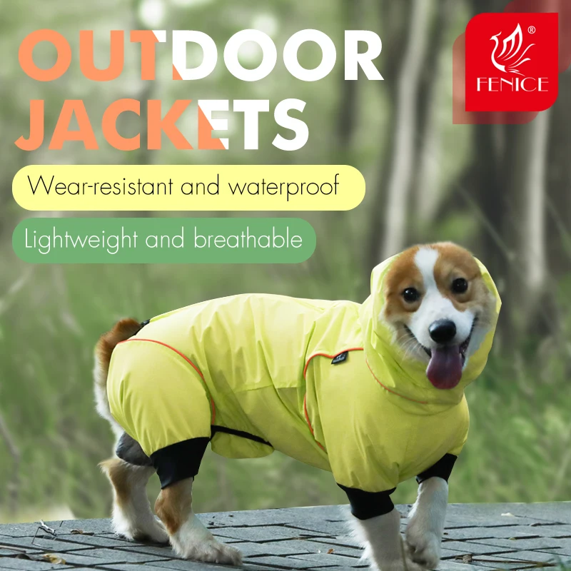 

Pet Products