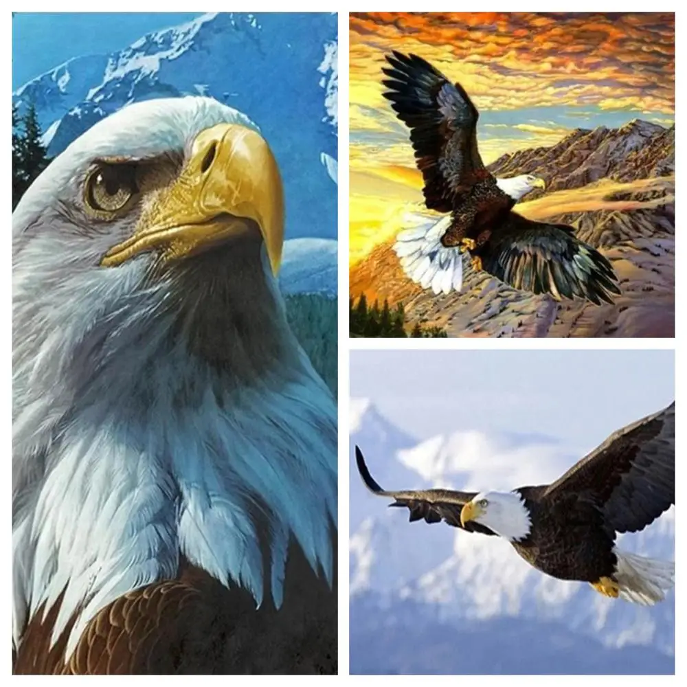 Bald Eagle 5D алмазная картина полностью квадратная DIY гостиная декоративная живопись