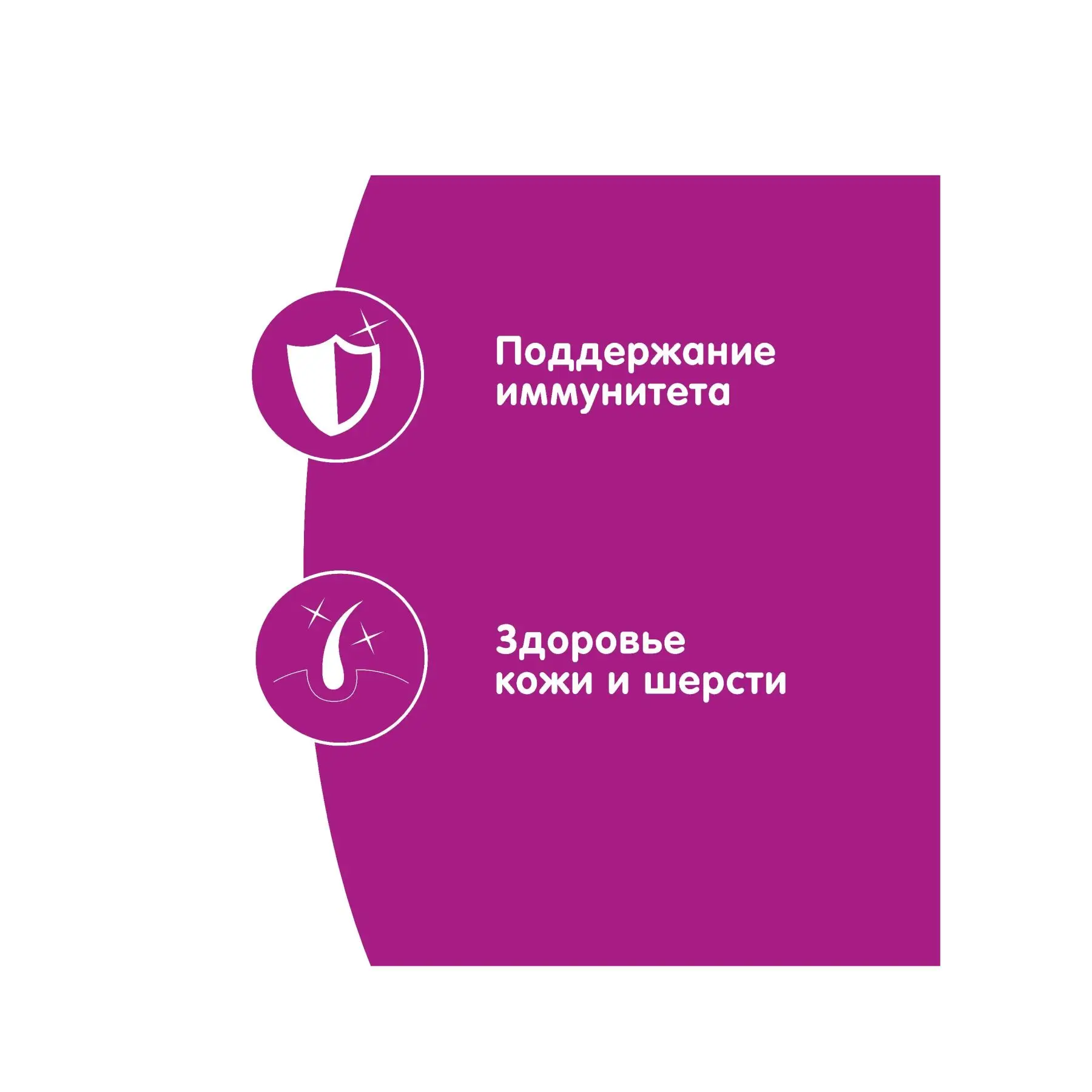 Whiskas® Мини филе с говядиной 24 шт по 85г|Кошачий мягкий корм| |