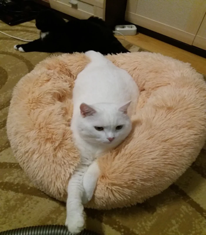 Кровать для домашних животных кошек собак мягкая теплая круглая кровать домик