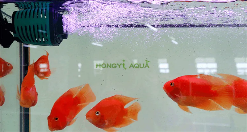 

Fish tank Wave pump Silent mini Surf pump Suction cup magnet LVP series pump bomb Aquarium supplies