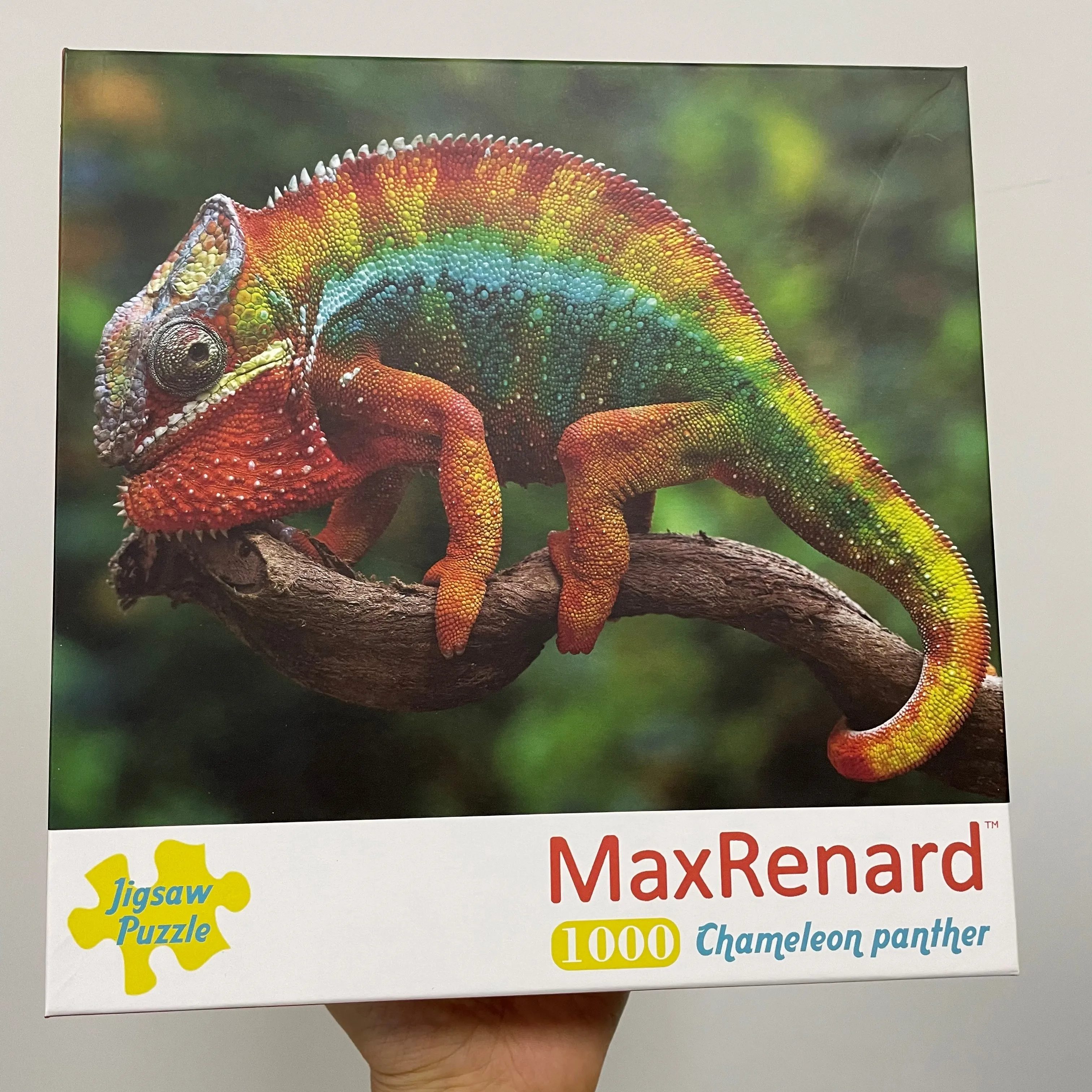 Пазлы для взрослых 1000 головоломка детей от 6 до 10 лет | Игрушки и хобби