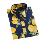 Dioufond 2021, принт с лимонами, женские блузки, на каждый день; Домашние тапочки из хлопка для женщин Цветочный принт топы с длинными рукавами рубашка S-2XL Blusas Feminina