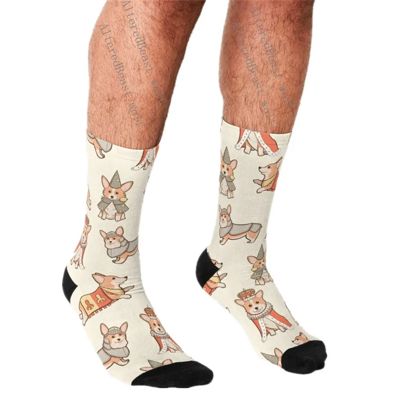 Мужские носки Харадзюку милые корги с мультяшным принтом индивидуальные
