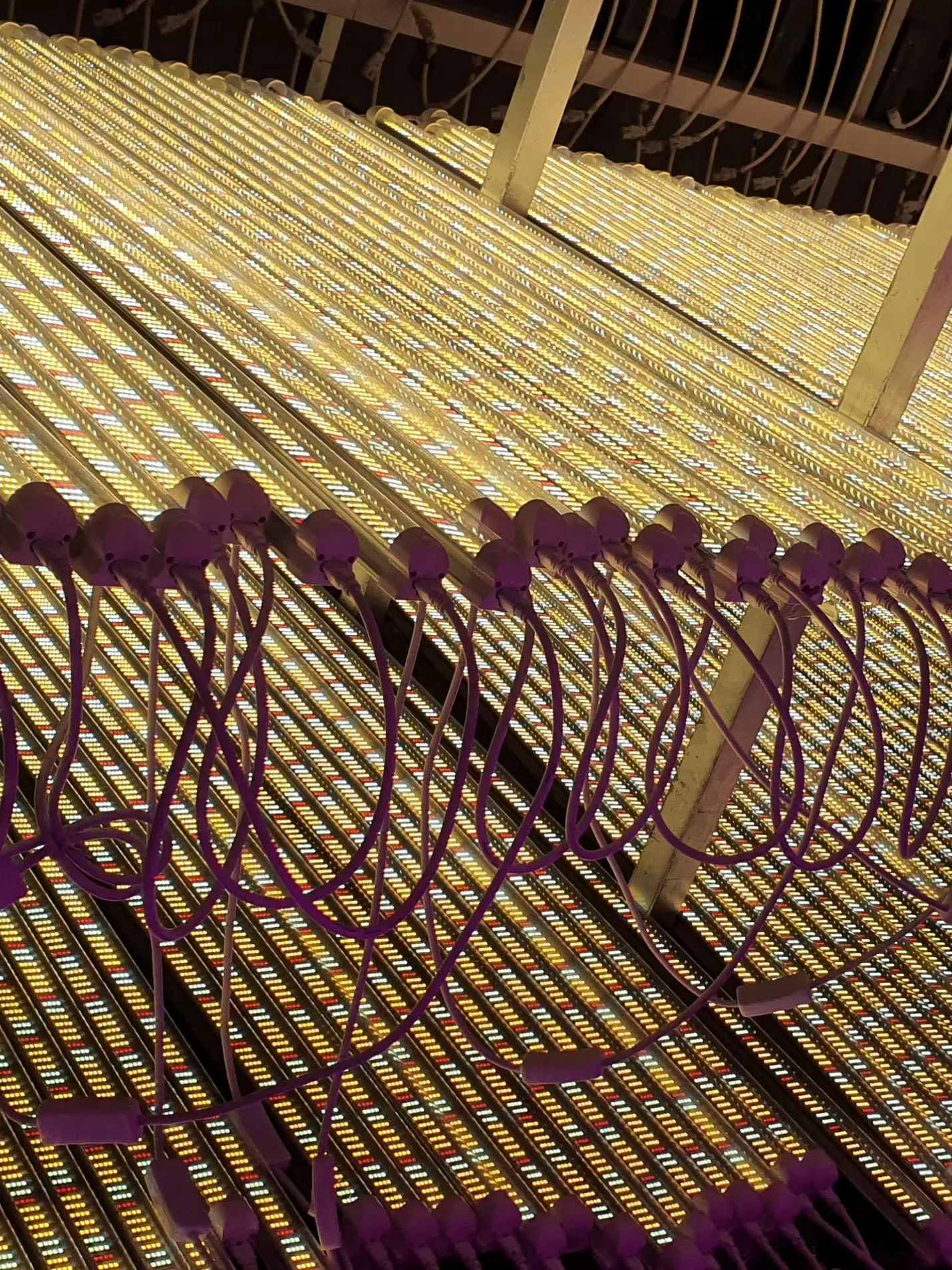 

XRYL Customized T8 Tube Flower Seeds Hydroponics LED Greenhouse Led Grow Light Bar Phytolamp for Growing Plants